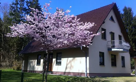 Unser tolles Ferienhaus mit drei Ferienwohnungen im Grünen und trotzdem zentrumsnah