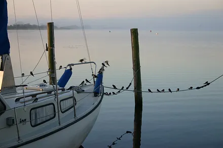 Am frühen Morgen am Selliner See