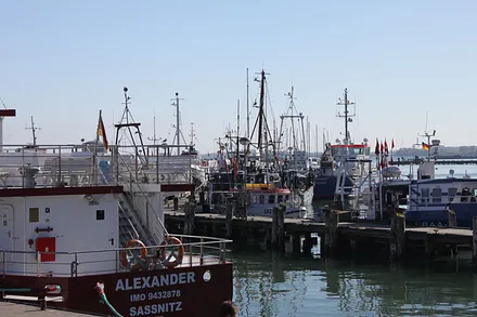 Der Hafen in Sassnitz - ein leckeres Fischbrötchen vom Fischer