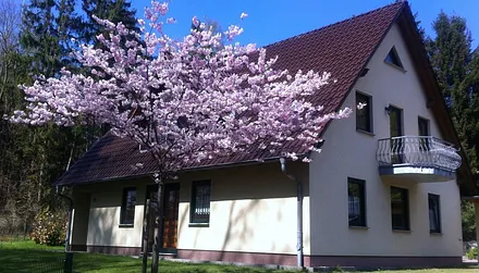 Unser Ferienhaus im Ostseebad Sellin mit drei Ferienwohnungen im Grünen gegen und trotzdem zentrumsnah
