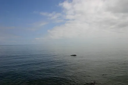 Impressionen am Morgen in Sellin