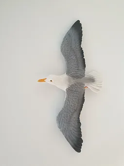 3-D Möwe im Flurbereich