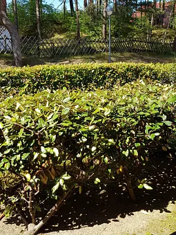 Blick von der Terrasse