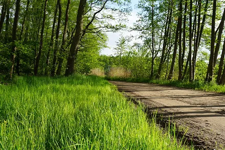 Radweg zur Ostsee 3 km