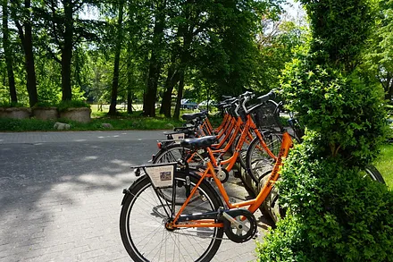 Radverleih am See 5 Gehminuten