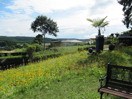 Wiese auf unserem Hof