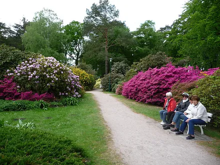Ein Blick in den Rhododendronpark in Graal-Müritz.