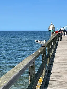 Seebrücke Zinnowitz