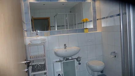 geräumiges Bad mit Dusche/WC