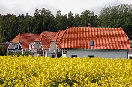 Die Ferienanlage im Rapsfeld