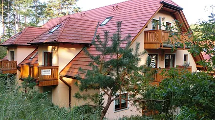 Blick vom Dünenwald