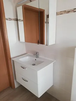 Im Bad/Waschtisch mit Spiegelschrank