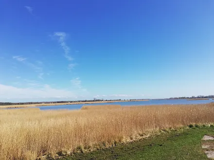 Blick auf den Bodden