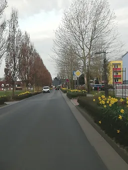 Viele Osterglocken schmücken im Frühjahr den Ort