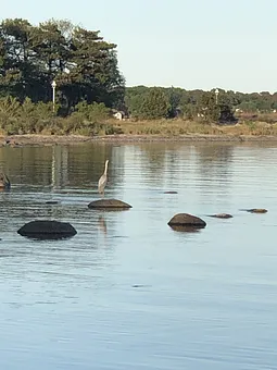 Naturstrand mit Blick nach Thiessow