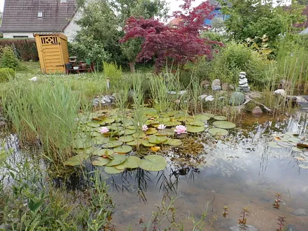 Romantisch sitzt man am Gartenteich