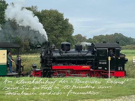 Mit dem Rasenden Roland über die Insel tuckern.
