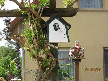 Meisen wohnen kostenfrei