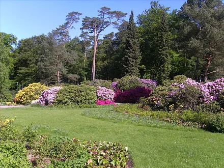 Rhododendronpark, 400 m vom Ferienhaus entfernt