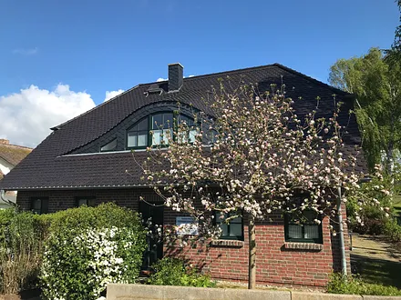 Frühling mit Apfelbaumblüte