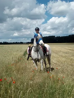 Freier Blick auf Feld und Flur