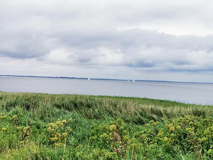 Blick auf den Bodden und die Inseln