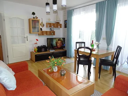 Wohnzimmer mit Fernseher 109 cm Diagonale