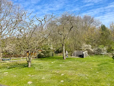 Außenbereich hinter dem Haus