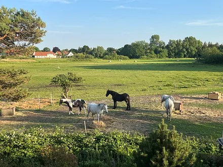 Blick seitlich aus Wohnzimmer und beide Schlafzimmer