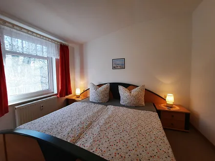 Blick vom Bett direkt in den Buchenwald