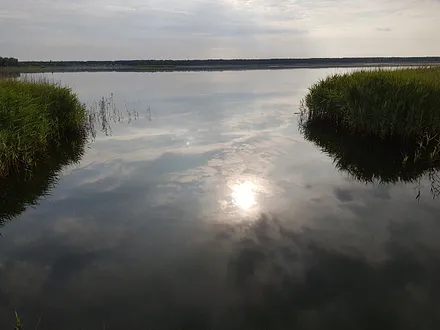 morgens am Bodden 