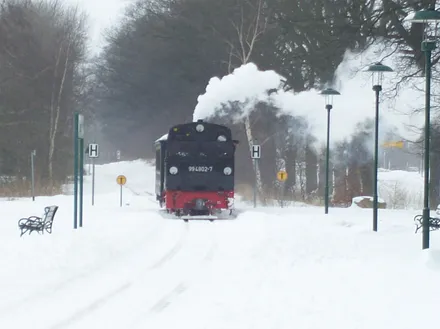 Im rasenden Roland vor dem Kanonenofen sitzend durch die Winterlandschaft fahren!