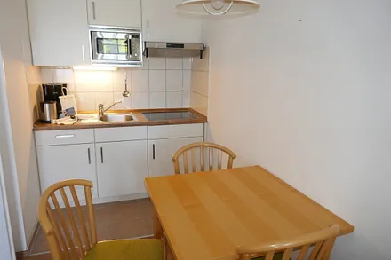 Küchenzeile: Herd 4 Platten, Kühlschrank mit Gefrierfach, Mikorwelle. Minibackofen im Vorraumschrank