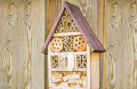Insektenhotel
