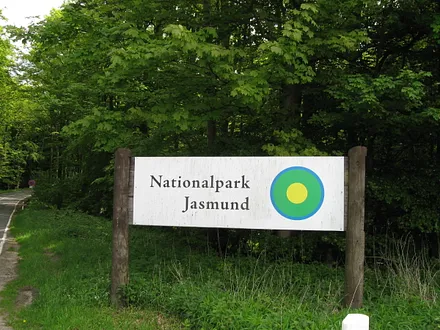 Nationalpark Jasmund nahe Ferienanlage Neddesitz