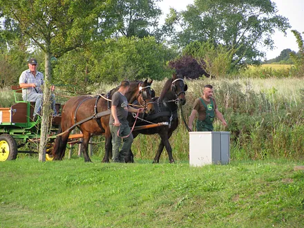 Direkte Umgebung des Objekts - Kutschfahrt im Resort Neddesitz