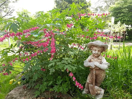 ein Blickfang im Garten 