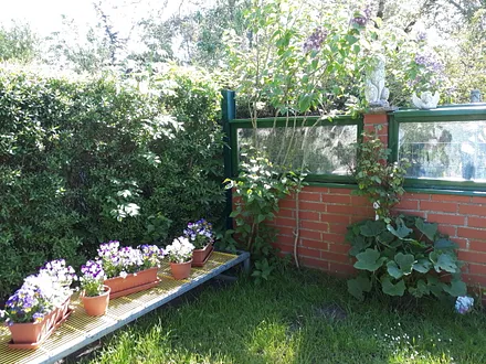 kleine Augenweide für Blumenliebhaber