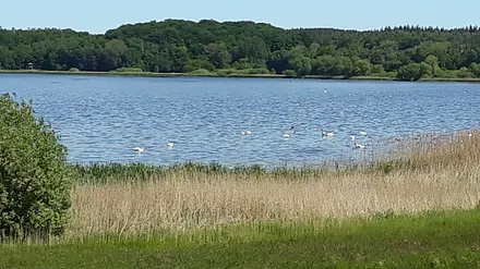 ein Spaziergang zum nahe gelegenen Nonnensee lohnt sich immer 