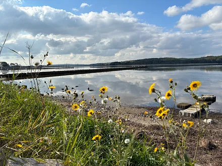 Lietzower Bodden
