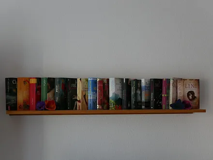 Einige Bücher mit eher leichtem Lesestoff stehen (unter anderem im Wohnzimmer) zu Ihrer Verfügung.