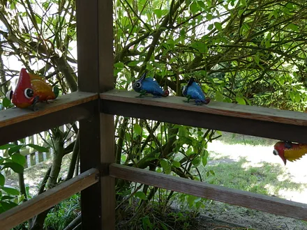 Ein Teil Ihres Empfangskomitees vor dem Eingang.