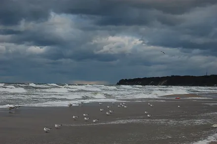 Bei Sturm am Strand von Baabe