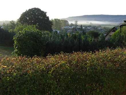 Blick über die Wiesen mit Frühnebel
