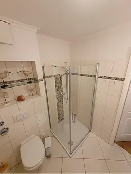 Neue, moderne Nurglasdusche