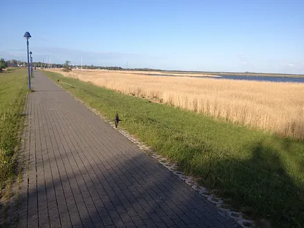 Direkter Deichzugang mit Blick auf die Kranichrastinsel Kirr