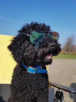 hier kann man es aushalten 