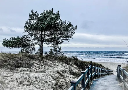 Inselimpression - Weg ans Meer