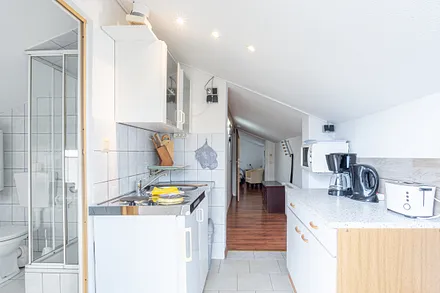 Gartenhaus der Villa See-Eck - Whg. Seepferdchen - Küchenzeile