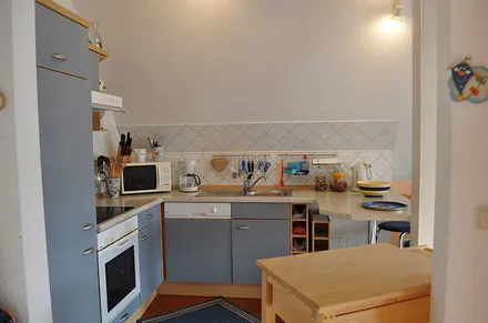 Die komplett ausgestattete Küche mit Geschirrspüler, Microwelle und Backofen
